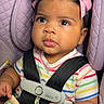 baby, car_seat, child, pink_bows, striped_clothing, book, animal_book, curious_eyes, infant, seatbelt, safety_harness, purple_car_seat, cute, portrait, indoor, child_safety, early_childhood, toddler, hand, face