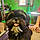 Bailey
