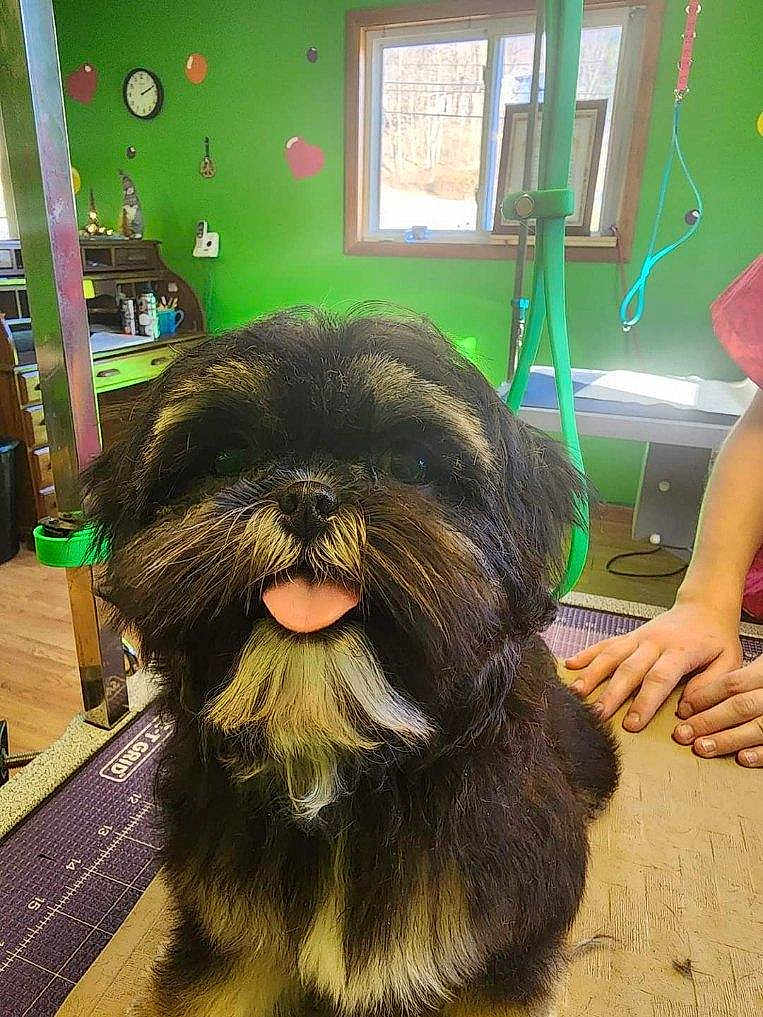 Bailey