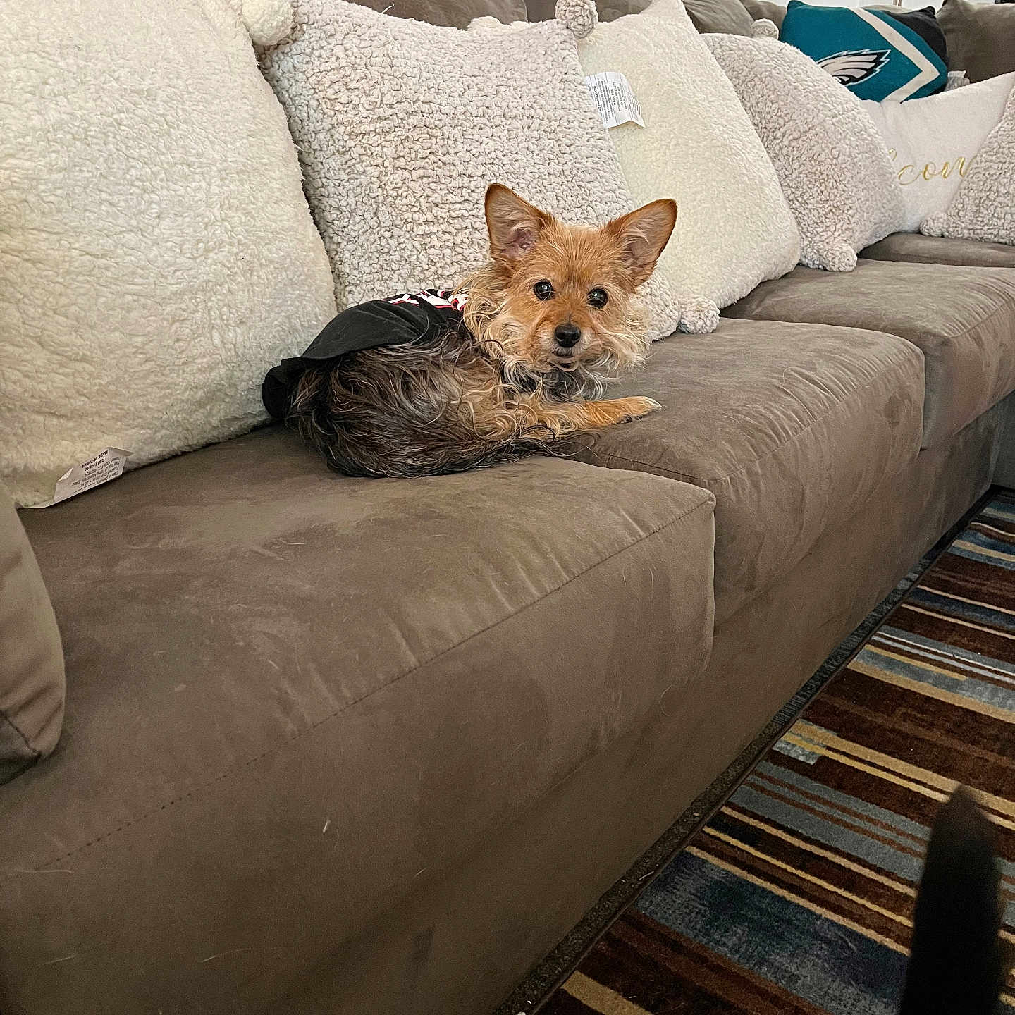 Lil Mama