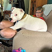 Casper joined the competition — help win amazing prizes! dog, person, indoor, chair, couch, furniture, glasses, white_dog, lap, relaxing, wooden_cabinet, coat_rack, tablet, colorful_shirt, carpet, footwear, earrings, collar, home, pet