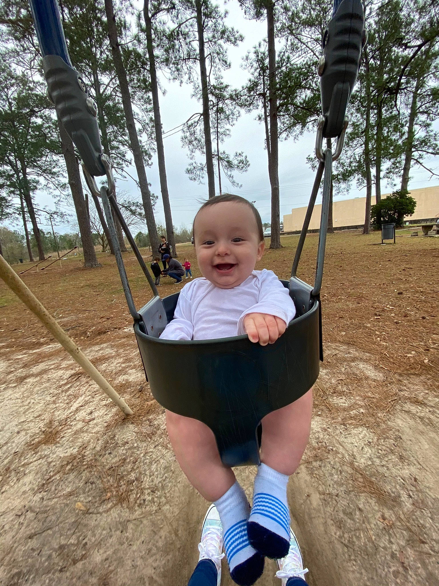 Braxton is registered to the contest to win money with this photo: child, joy, outdoor_play_equipment, person, swing, toddler, tree