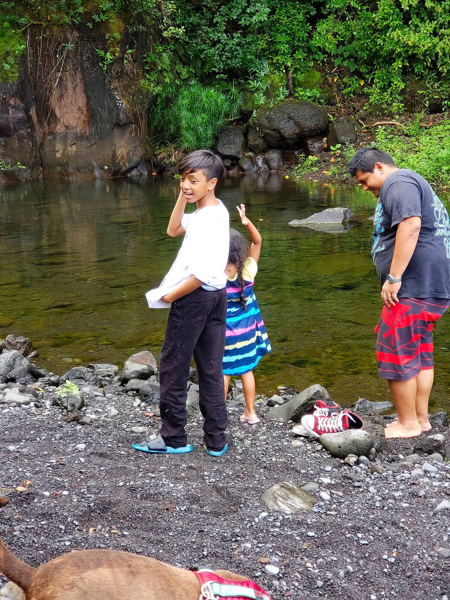 Fijay is registered to the contest to win money with this photo: adventure, creek, forest, joy, landscape, leisure, person, plant, recreation, river, rock, state_park, stream, tourism, tree, vacation, watercourse, wilderness