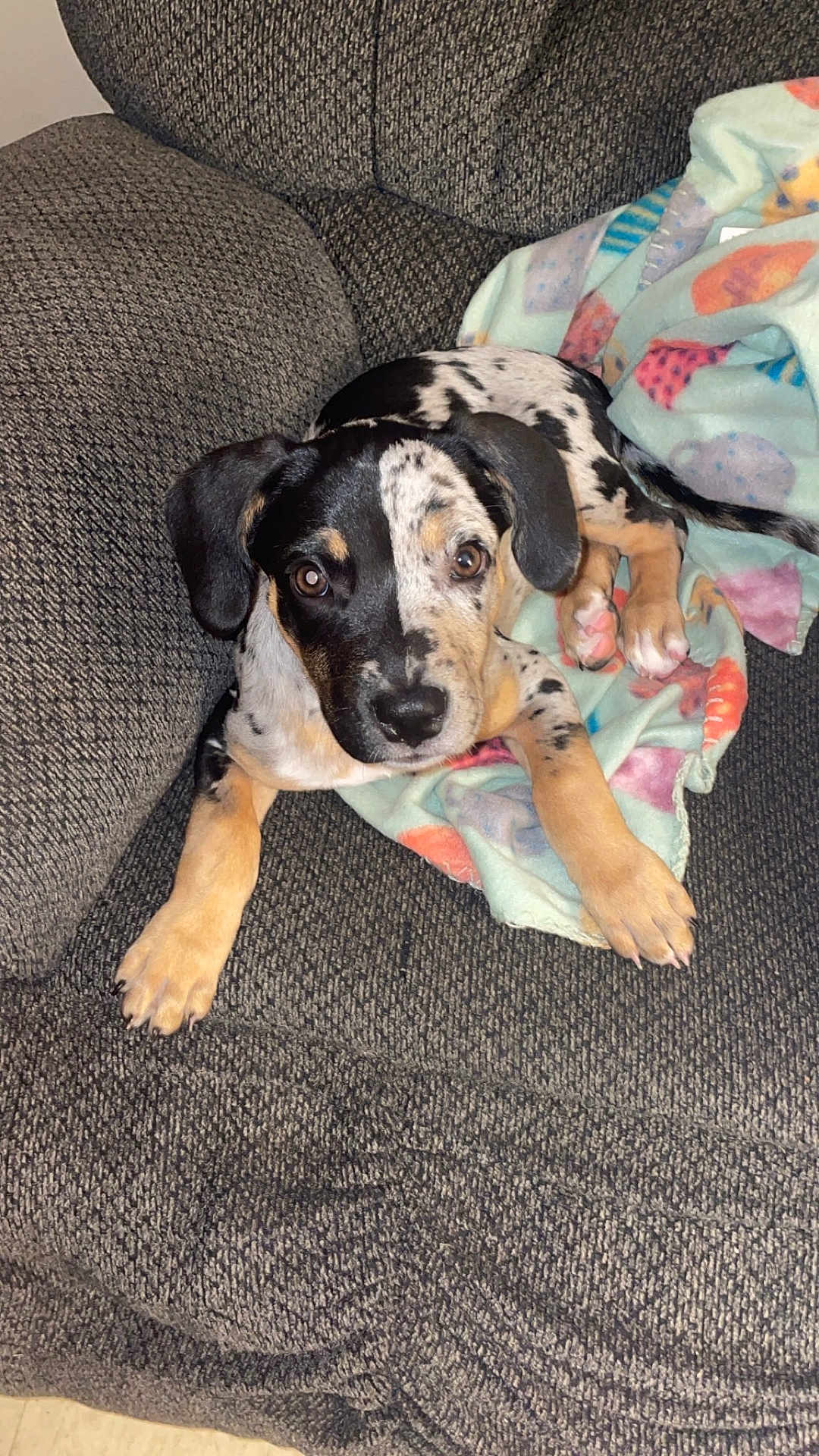 Zoey
