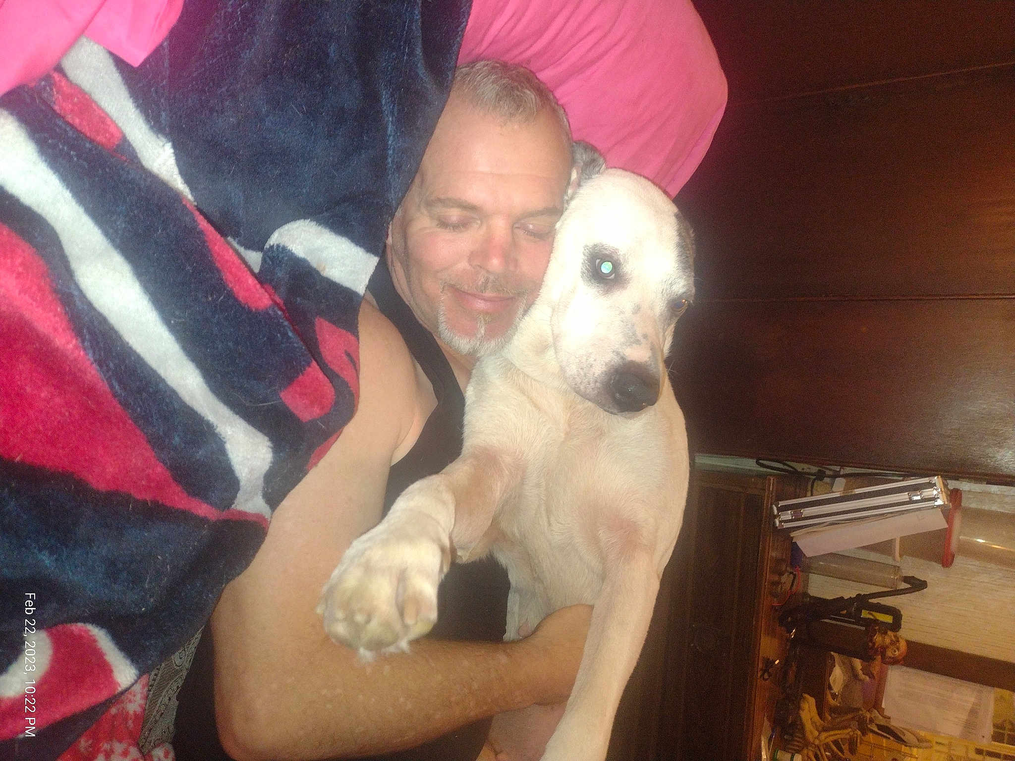 Sadie