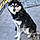 Inuk