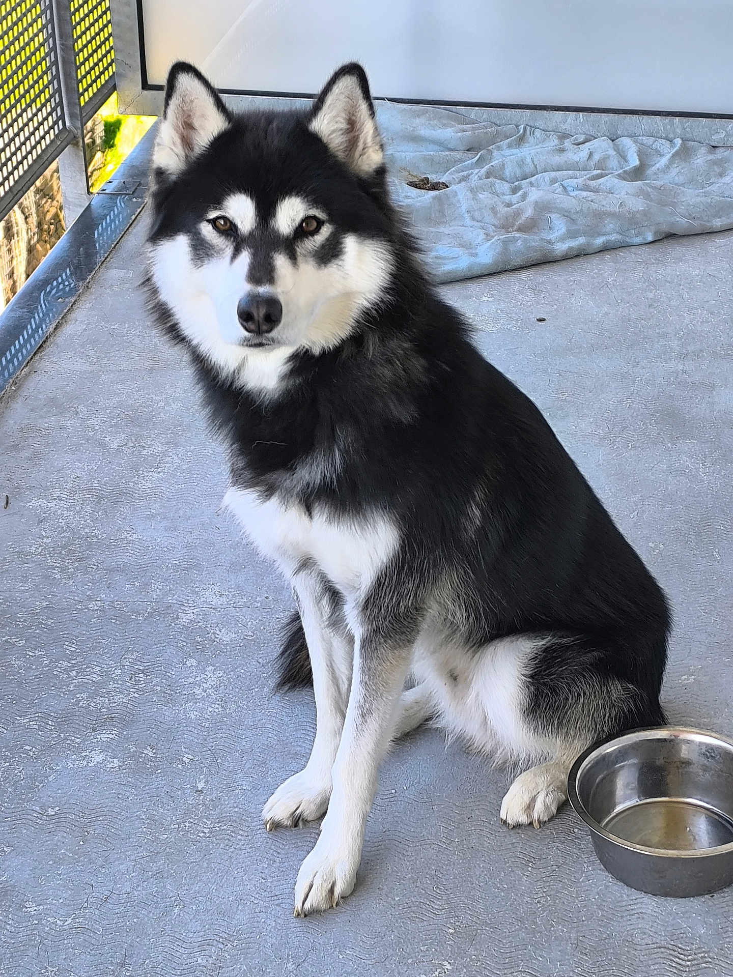 Inuk