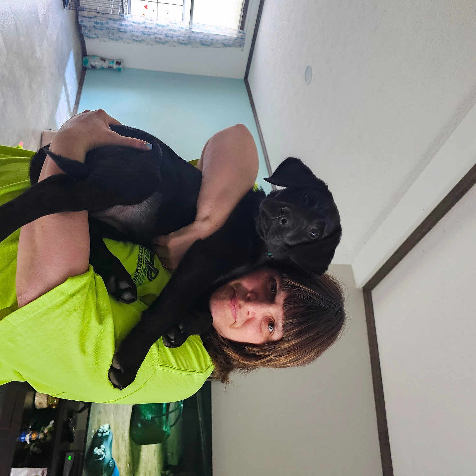 Bella joined the competition — help win amazing prizes! arm, costume, elbow, entertainment, event, fun, human_leg, knee, leisure, performance, performing_arts, room, shorts, t_shirt, thigh