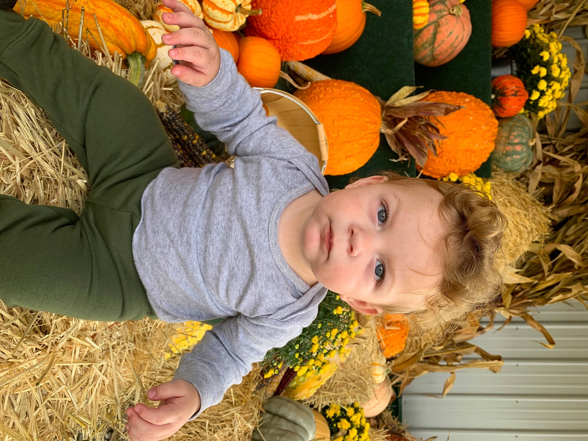 Branson is registered to the contest to win money with this photo: adaptation, calabaza, cucurbita, gourd, green, happy, natural_foods, orange, people, people_in_nature, person, photograph, plant, pumpkin, smile, squash, toddler, whole_food, winter_squash, wood