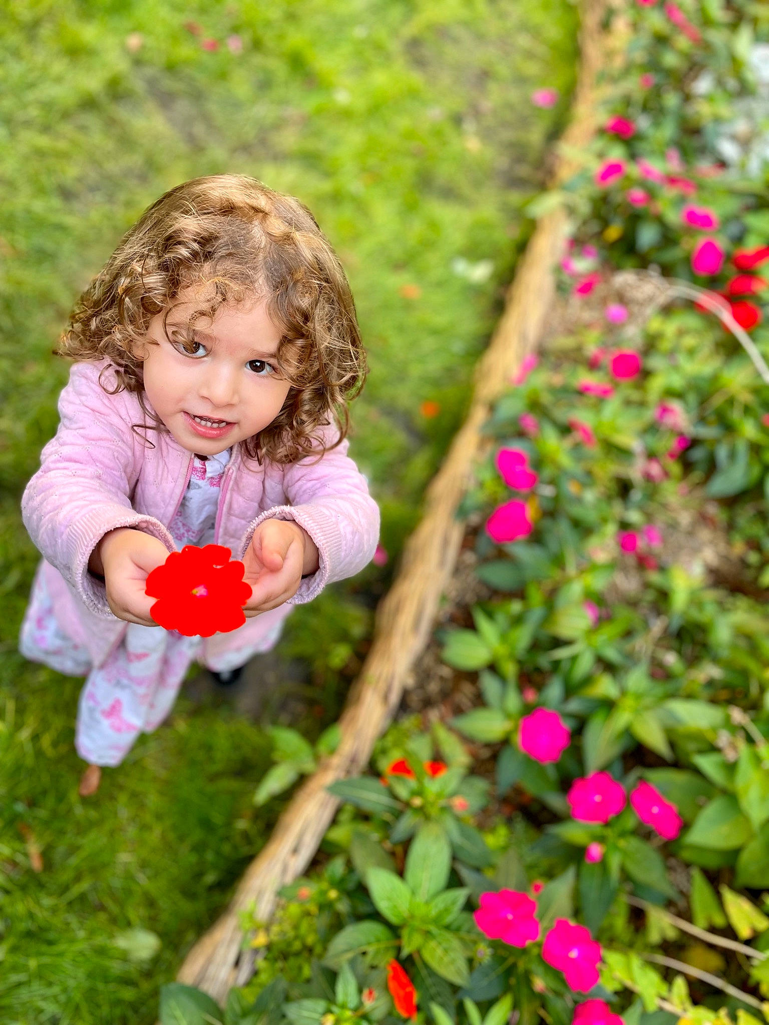 Hilal participe au concours pour gagner de l'argent avec cette photo : annual_plant, child, eye, face, flower, grass, happy, head, human_body, jeans, leaf, leisure, meadow, people_in_nature, person, petal, pink, plant, toddler, tree