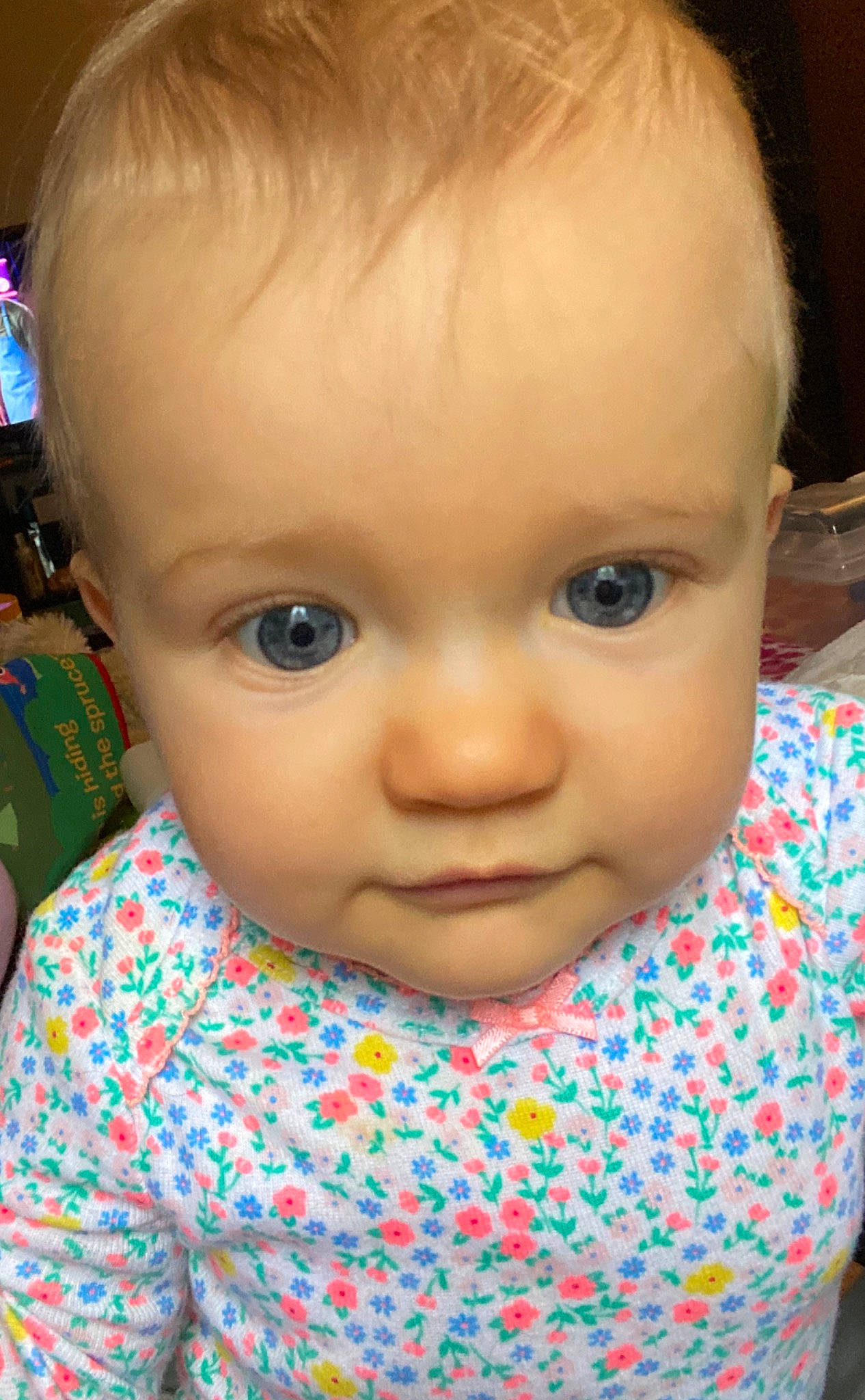 Cloè Mae joined the competition — help win amazing prizes! baby, beauty, cheek, child, chin, close_up, ear, eye, eyebrow, face, forehead, hair, head, iris, lip, mouth, neck, nose, person, skin