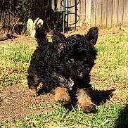 Milee is registered to the contest to win money with this photo: