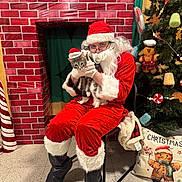 Tanis is registered to the contest to win money with this photo: person, santa_claus, cat, christmas_tree, holiday, festive, costume, hat, glasses, decorations, fireplace, chair, floor, indoor, seasonal, pet, celebration, red, white, green