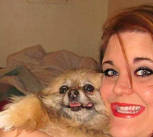 Ferbie joined the competition — help win amazing prizes! carnivore, companion_dog, dog, dog_breed, ear, event, eyelash, fawn, fur, happy, human_body, iris, lipstick, liver, makeover, smile, snout, toy_dog, whiskers, working_animal