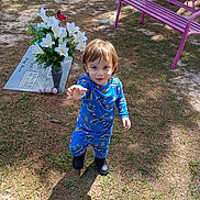Hezikiah joined the competition — help win amazing prizes! toddler, child, blue_pajamas, grass, bench, purple_bench, flower_vase, white_flowers, gravestone, outdoor, daylight, reaching_hand, curious, young_child, shoes, nature, shadow, tree, red_bird_ornament, ground