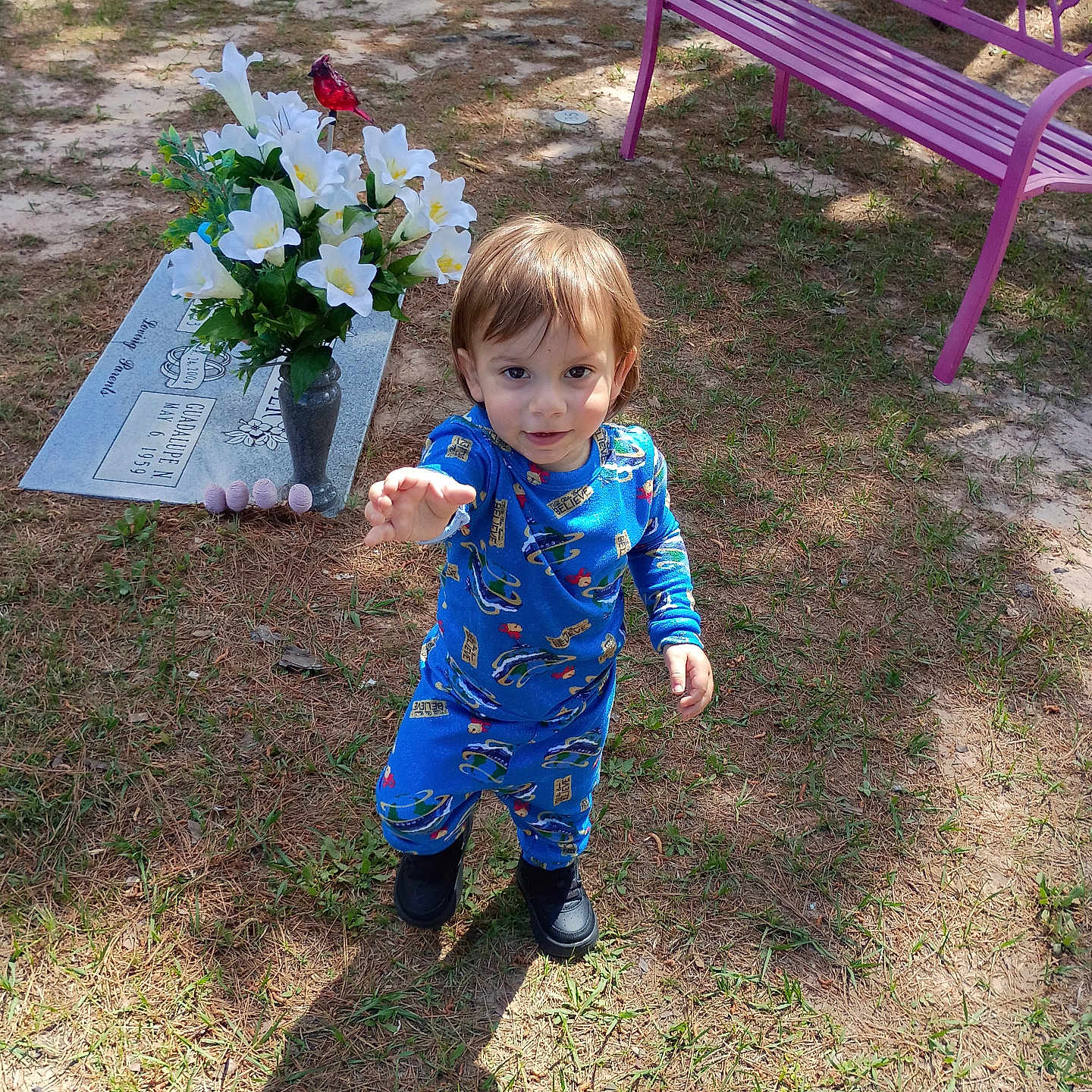 Hezikiah joined the competition — help win amazing prizes! toddler, child, blue_pajamas, grass, bench, purple_bench, flower_vase, white_flowers, gravestone, outdoor, daylight, reaching_hand, curious, young_child, shoes, nature, shadow, tree, red_bird_ornament, ground