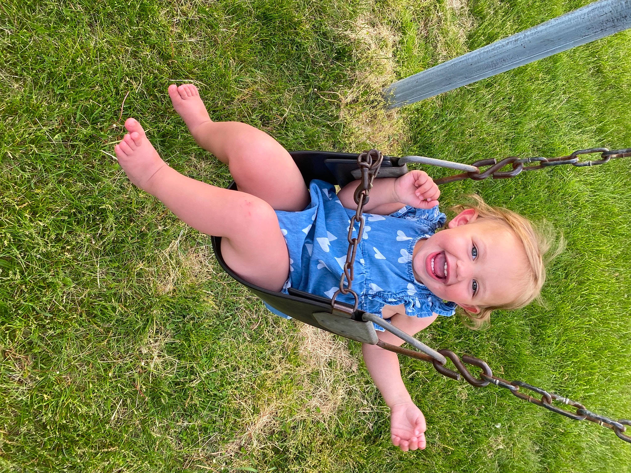 Scarlet is registered to the contest to win money with this photo: elbow, electric_blue, fun, grass, grass_family, grassland, happy, joy, landscape, lawn, leisure, meadow, natural_environment, people_in_nature, person, plant, recreation, smile, thigh, toddler
