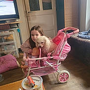 Petit Coeur participe au concours pour gagner de l'argent avec cette photo : girl, dog, toy_stroller, baby_doll, indoor, wooden_floor, television, furniture, pink, child, pet, home, cabinet, curtains, cushion, bottle, table, can, lighter, floor