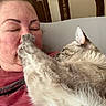 Elsa is registered to the contest to win money with this photo: cat, person, paw, face, bed, furniture, indoor, closeup, pet, animal, cute, funny, touch, interaction, relaxation, home, fur, whiskers, napping, affection