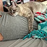 cat, feline, pet, indoor, blanket, person, resting, sleepy, fur, cozy, television, living_room, gray_shirt, colorful_blanket, home, relaxation, comfort, lying_down, cute, domestic_animal