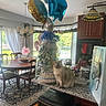 cat, balloon, diaper_cake, counter, kitchen, dining_table, chairs, window, curtain, light_fixture, gift_bag, decorations, blue_ribbon, indoor, carpet, wood_floor, cabinet, daylight, pet, celebration