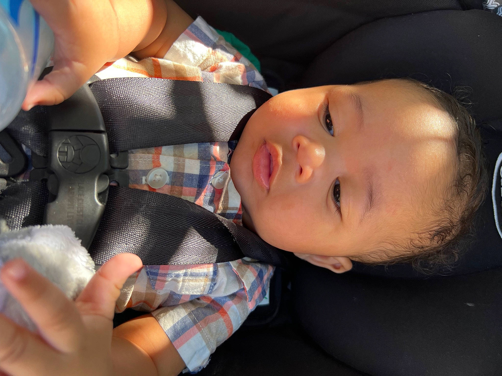 Yasir joined the competition — help win amazing prizes! baby, baby_toddler_clothing, cheek, child, comfort, ear, eyebrow, eyelash, finger, gesture, hand, lip, mouth, nail, nose, person, skin, thumb, toddler, tree