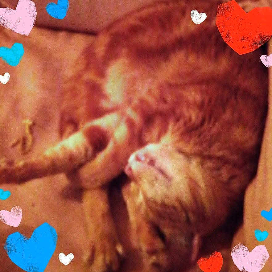 Izzy