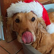 Gillie participe au concours pour gagner de l'argent avec cette photo :