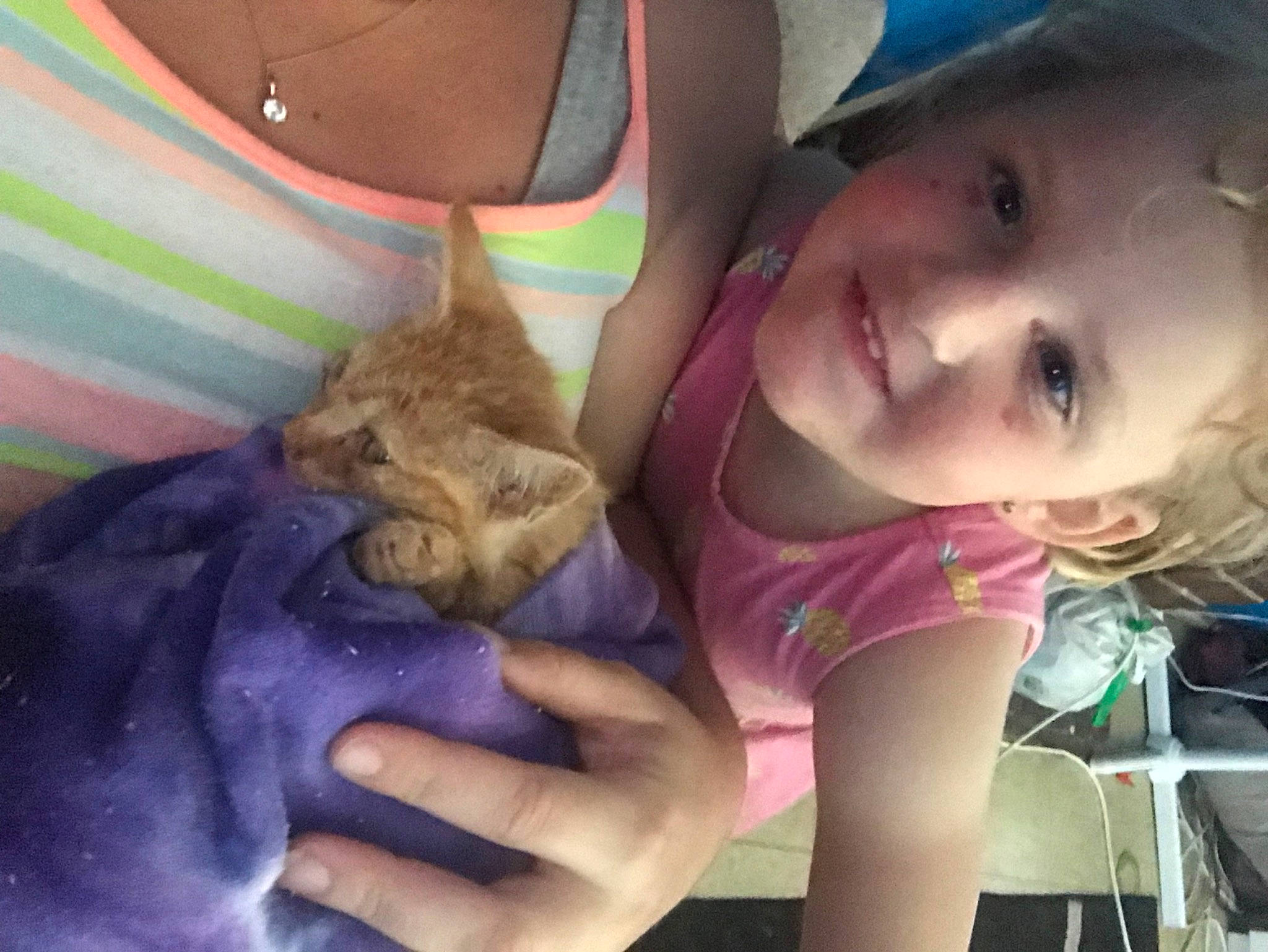 Hayley is registered to the contest to win money with this photo: canidae, child, companion_dog, dog_breed, domestic_short_haired_cat, fawn, felidae, finger, hand, happy, hat, joy, nail, person, play, rodent, selfie, skin, small_to_medium_sized_cats, smile