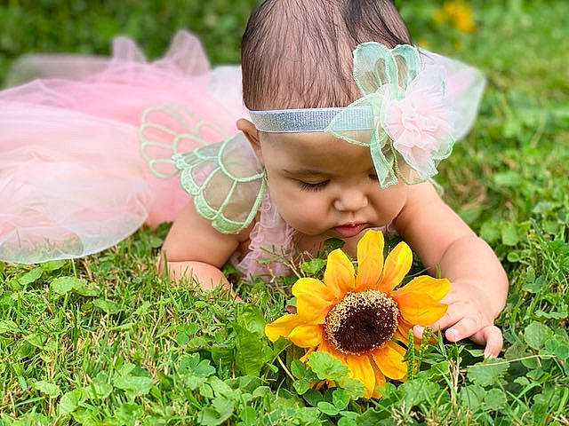 Ayrabella is registered to the contest to win money with this photo: baby, child, dress, flower, grass, grass_family, hair_accessory, happy, headband, headgear, headpiece, headwear, person, petal, plant, spring, summer, sunflower, toddler, wildflower