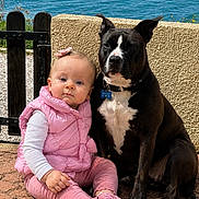 Nala By Lyla participe au concours pour gagner de l'argent avec cette photo : baby, dog, infant, black_and_white_dog, pink_clothing, pink_vest, pink_pants, pink_shoes, sitting, outdoor, waterfront, lake, fence, stone_wall, patio, sunlight, portrait, companion, pet, family
