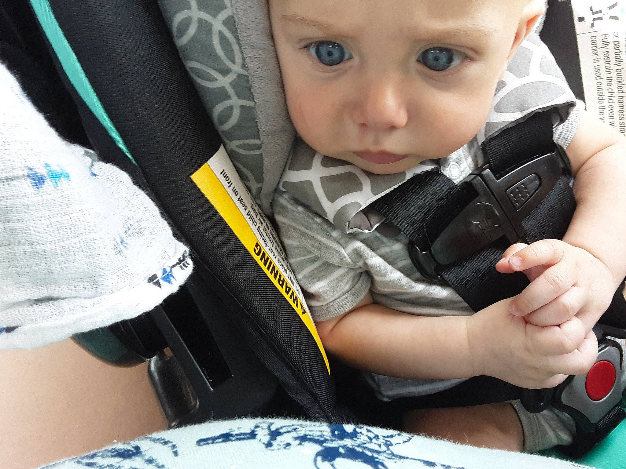 Reese is registered to the contest to win money with this photo: arm, auto_part, baby, baby_carriage, baby_in_car_seat, baby_products, car_seat, cheek, child, cool, hand, person, play, product, seat_belt, shoe, sitting, sorrow, toddler