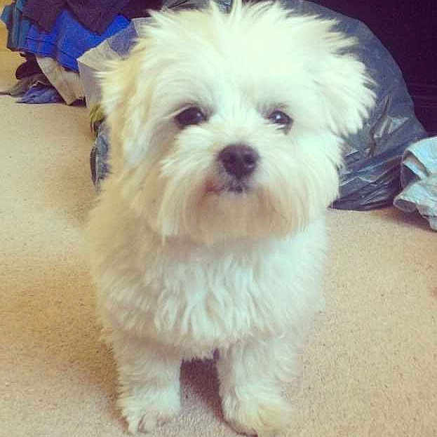 Max joined the competition — help win amazing prizes!