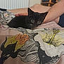 kitten, black_cat, blanket, person, arm, bedroom, indoor, curious, small_pet, resting, fabric, pattern, cute, animal, pet, young_cat, feline, cozy, soft, comfort