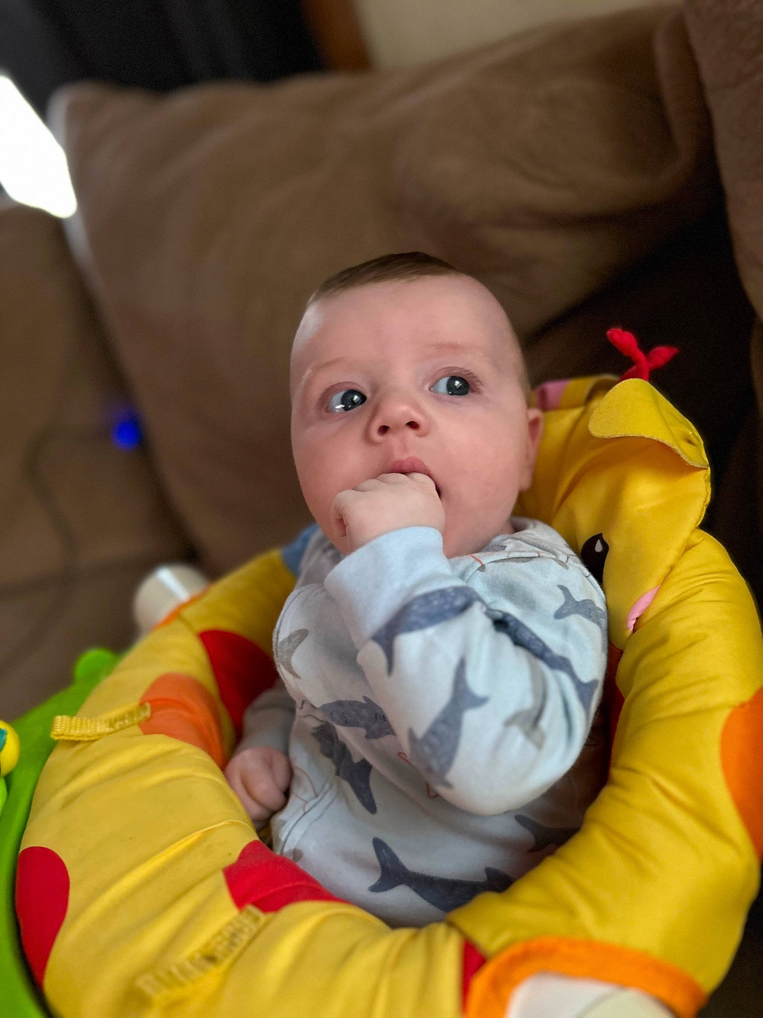 Baylor is registered to the contest to win money with this photo: baby, baby_products, baby_safety, baby_toddler_clothing, cheek, child, comfort, eye, fun, happy, iris, linens, person, petal, sitting, skin, sleeve, textile, toddler