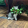 cat, curious, disguise, domestic_animal, festive, flooring, furniture, green_leaves, holly_leaves, household, indoor, natural_light, pet_food_bag, plant, red_berries, sitting, striped_tail, tabby_cat, white_paws, wooden_floor