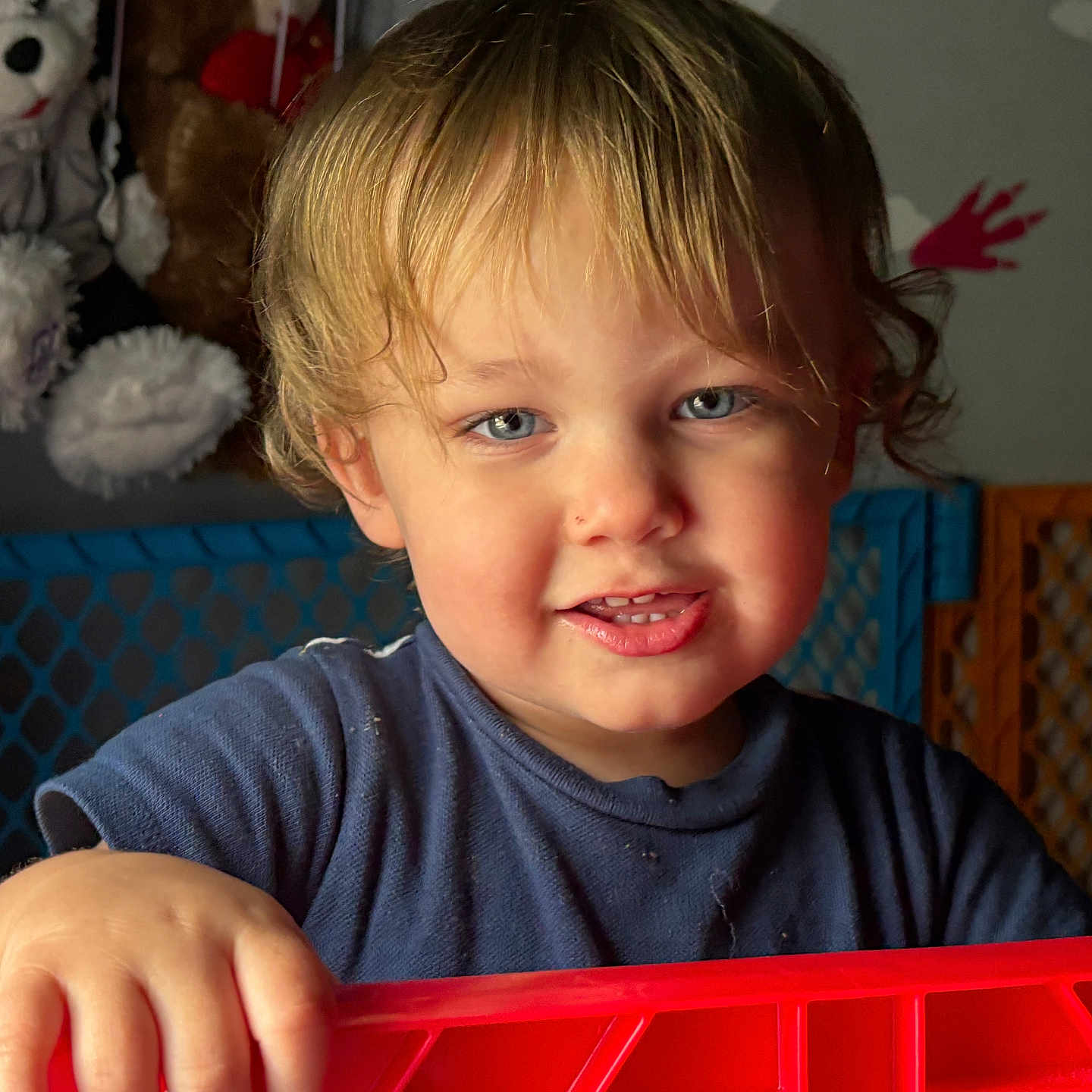 Liam joined the competition — help win amazing prizes! baby_gate, blond_hair, blue_eyes, blue_gate, child, clothing, curly_hair, cute, face, hand, indoor, orange_gate, person, playroom, portrait, red_barrier, smile, stuffed_animal, toddler, toy