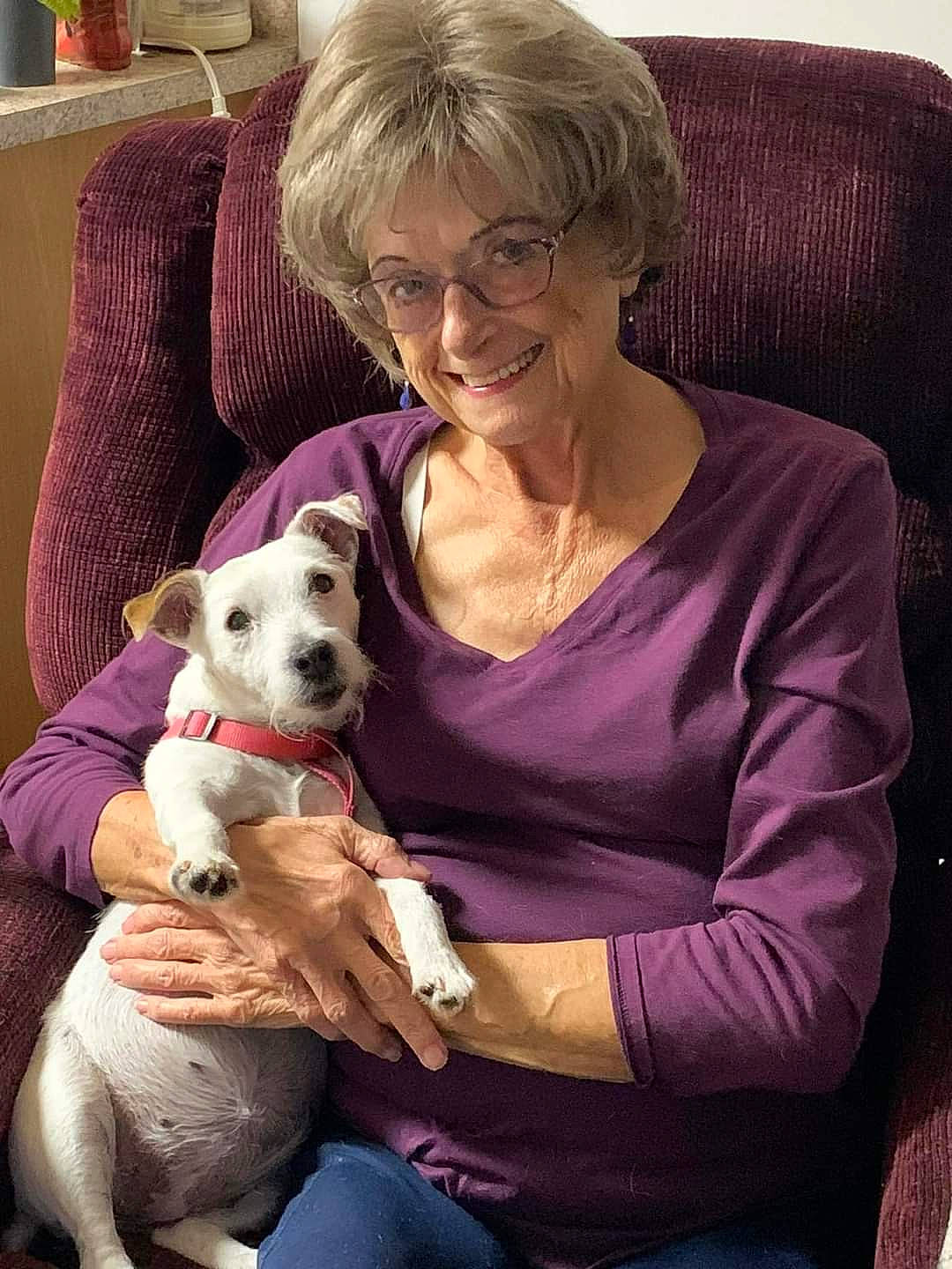 River joined the competition — help win amazing prizes! carnivore, clothing, comfort, companion_dog, couch, dog, dog_breed, ear, fawn, glasses, jeans, lap, organ, purple, sitting, skin, smile, sporting_group, toy, toy_dog