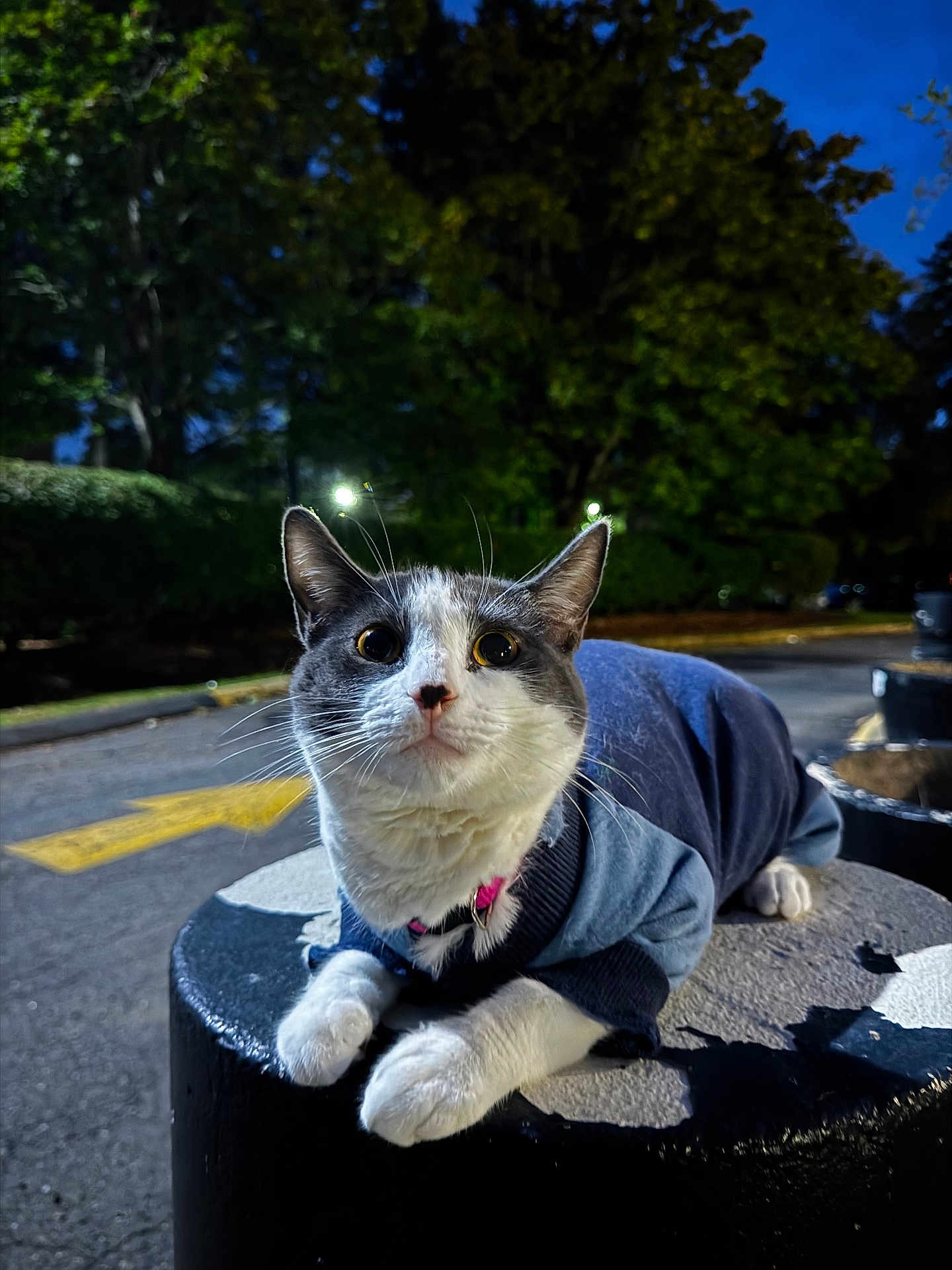 Luna