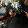 Baki is registered to the contest to win money with this photo: dog, person, bunny_ears, indoors, plush_toy, plant, bed, blanket, curly_hair, black_dog, stuffed_bear, hugging, relaxing, cozy, cuddling, home, casual, large_dog, comfort, cute