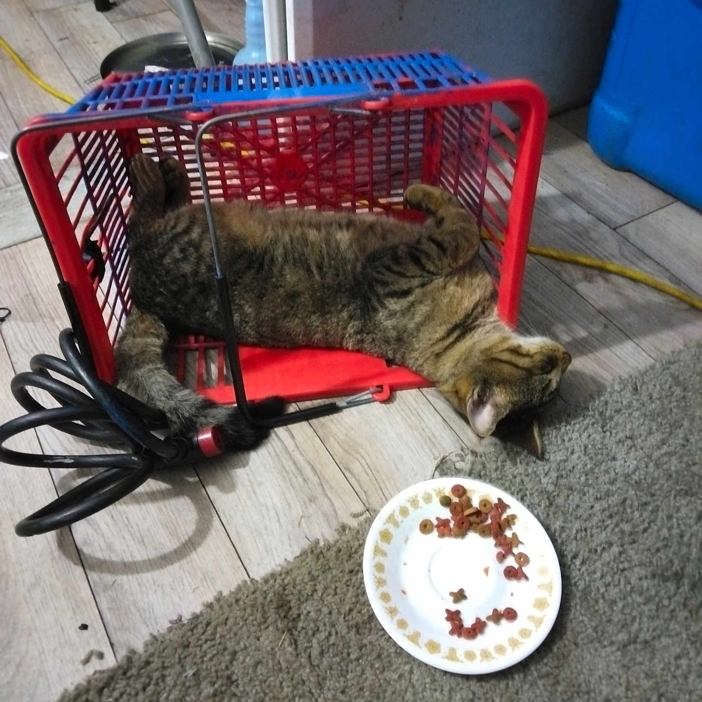 Widdles