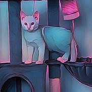 Samy participe au concours pour gagner de l'argent avec cette photo : cat, cat_tree, pet, animal, white_cat, indoor, furniture, play_structure, scratching_post, pet_toy, curious, alert, soft_lighting, blue_tone, pink_tone, domestic_animal, feline, standing, closeup, cozy