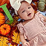 baby, infant, child, bow, headband, pink_dress, pumpkins, autumn_leaves, fall, seasonal, smiling, cute, portrait, laying_down, holiday, decoration, orange, yellow, red, closeup