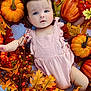 baby, infant, pumpkin, autumn, fall_leaves, orange, yellow, red, pink_clothing, cute, child, portrait, laying_down, seasonal, nature, berries, holiday, decoration, outdoor, person