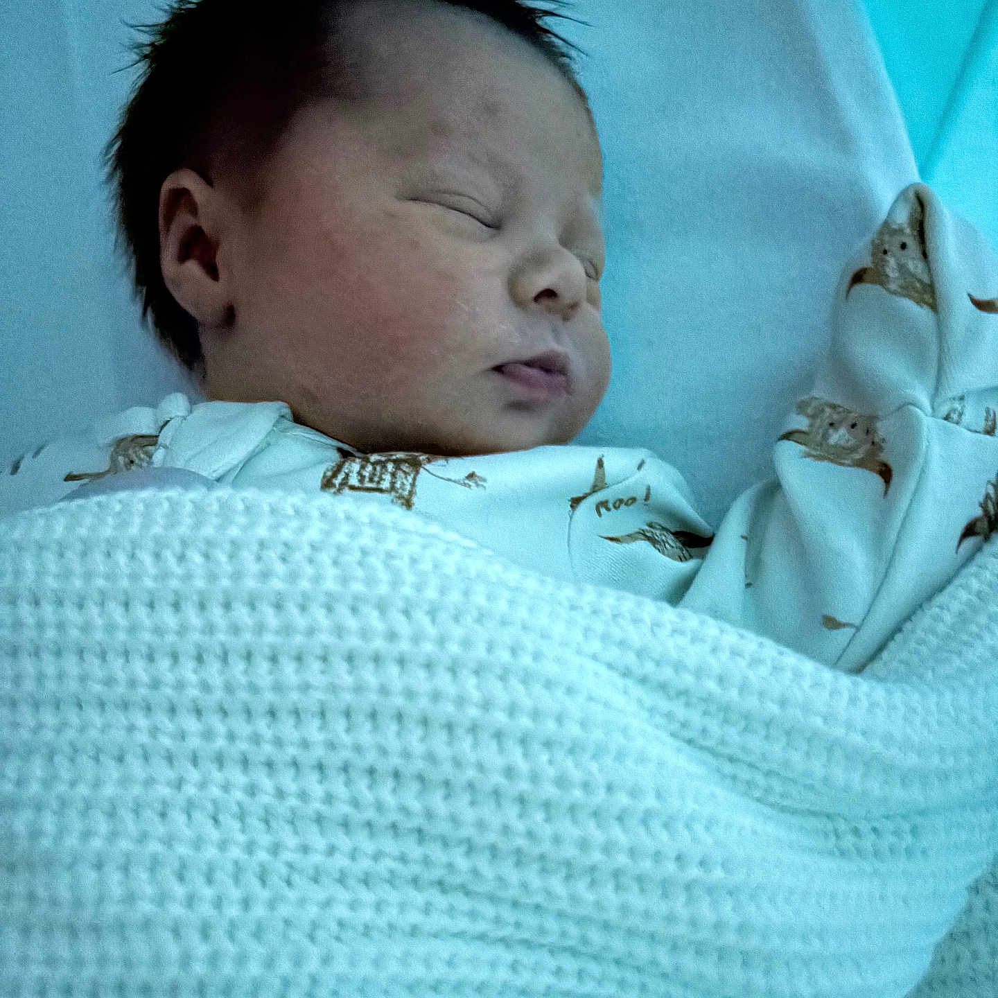 Cayson joined the competition — help win amazing prizes! baby, bed, bedroom, blanket, cradle, crib, cushion, face, furniture, head, indoors, infantbed, newborn, person, photography, portrait, quilt, room, sleeping, towel