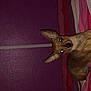 Flica participe au concours pour gagner de l'argent avec cette photo :
