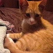 Cuddles is registered to the contest to win money with this photo: