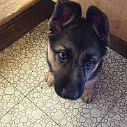 Raina joined the competition — help win amazing prizes!