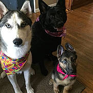 Patton Family is registered to the contest to win money with this photo: