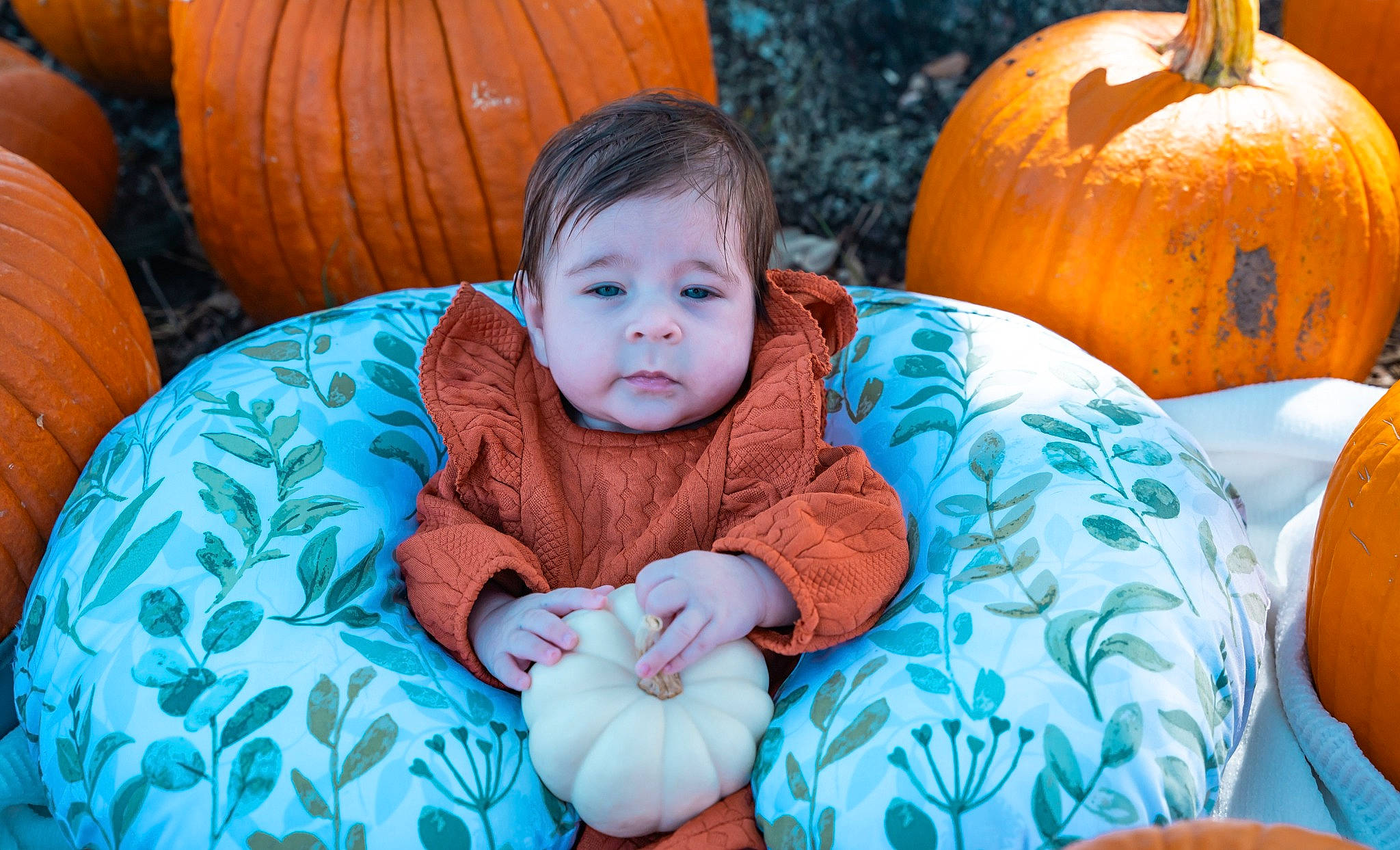 Mckenna joined the competition — help win amazing prizes! baby, baby_toddler_clothing, calabaza, child, dress, facial_expression, gourd, grass, happy, head, human_body, leaf, orange, organ, person, plant, pumpkin, squash, toddler, tree